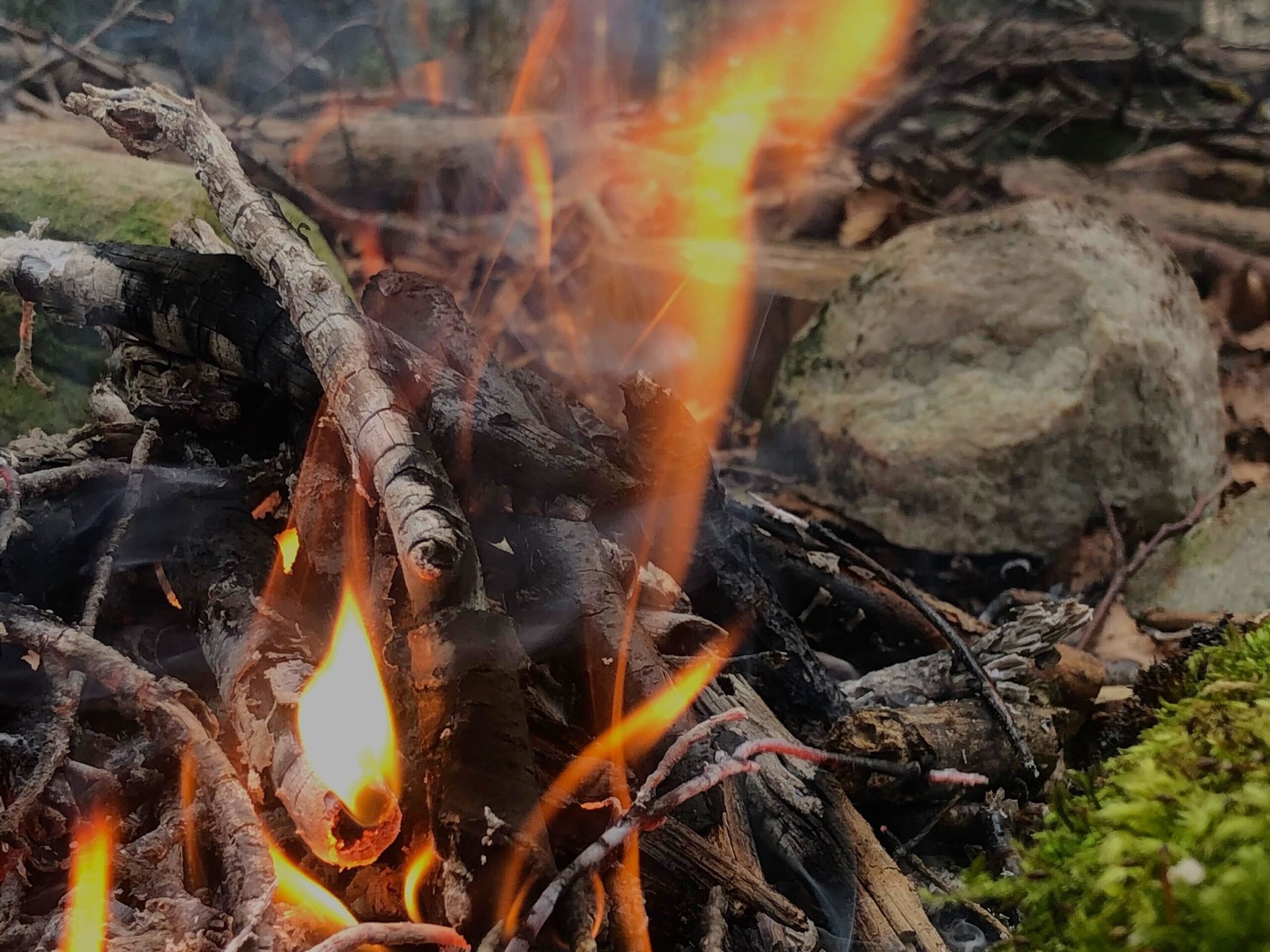 Ein Feuer entfachen im Wald