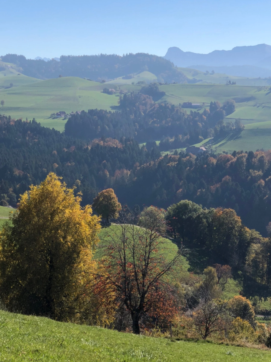 Aussicht in die herbstliche Hügellandschaft beim Achtsamkeitsspaziergang